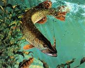 马克 苏祖尼奥 : -Unknown